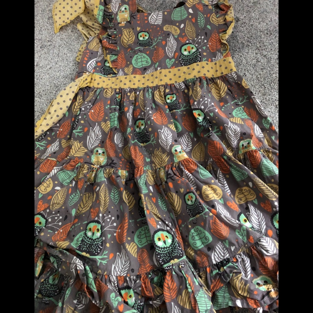 Euc Eleanor Rose Thanksgiving dress size 7-8